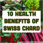 10 Health Benefits of Swiss Chard