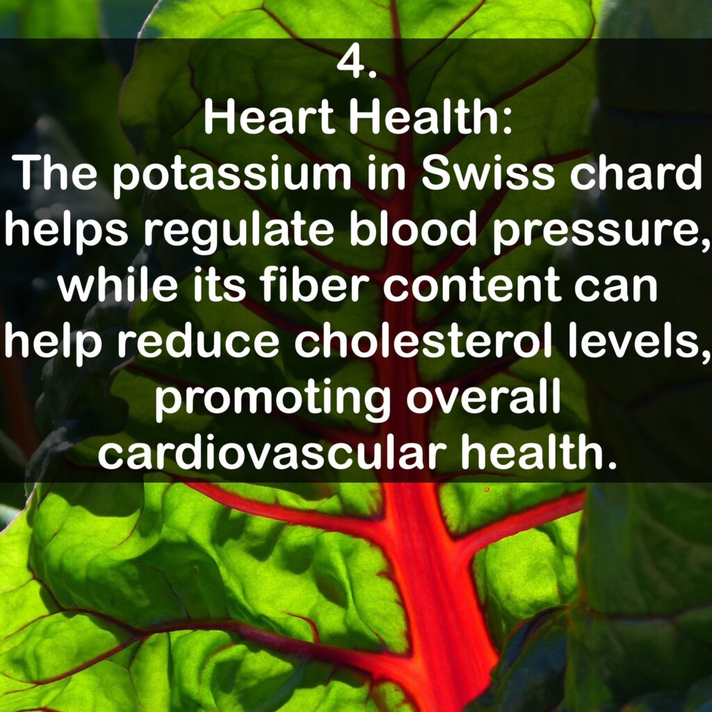 4. Heart Health: The potassium in Swiss chard helps regulate blood pressure, while its fiber content can help reduce cholesterol levels, promoting overall cardiovascular health.