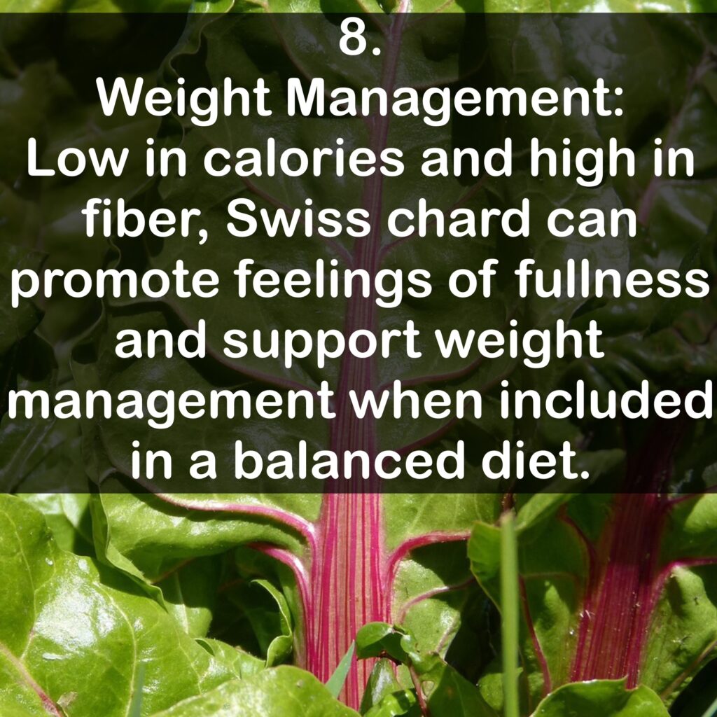 8. Weight Management: Low in calories and high in fiber, Swiss chard can promote feelings of fullness and support weight management when included in a balanced diet.