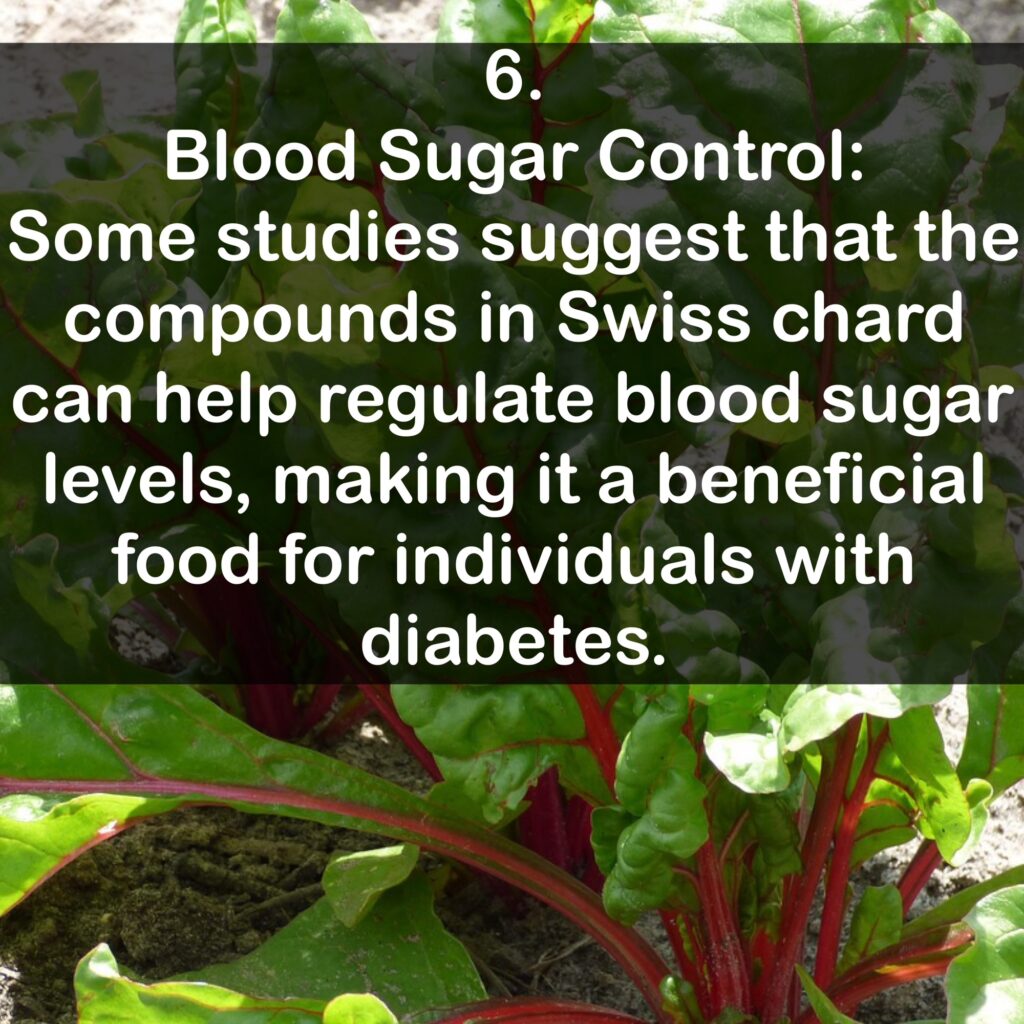 6. Blood Sugar Control: Some studies suggest that the compounds in Swiss chard can help regulate blood sugar levels, making it a beneficial food for individuals with diabetes.