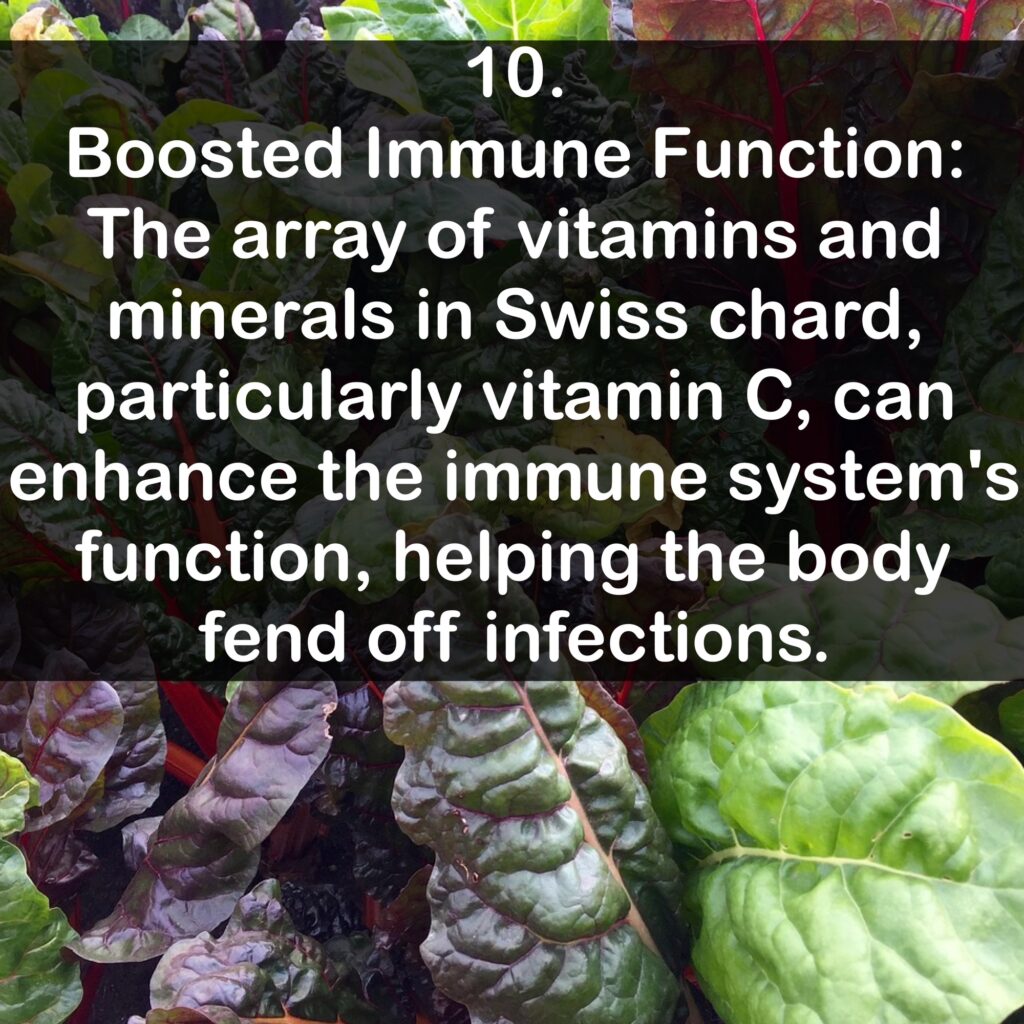10. Boosted Immune Function: The array of vitamins and minerals in Swiss chard, particularly vitamin C, can enhance the immune system's function, helping the body fend off infections.