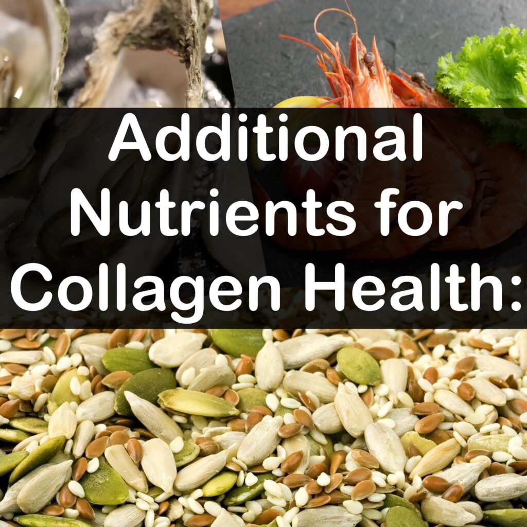Additional Nutrients for Collagen Health