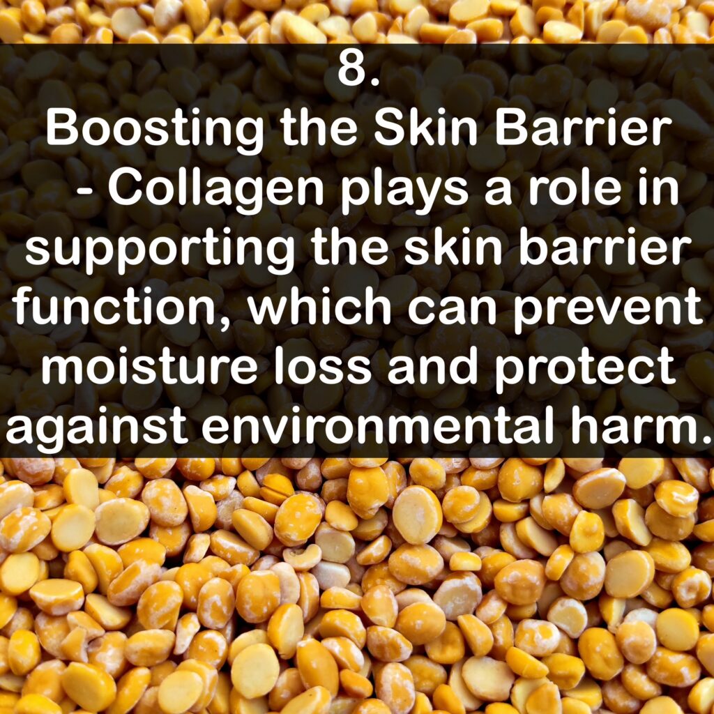 8. Boosting the Skin Barrier - Collagen plays a role in supporting the skin barrier function, which can prevent moisture loss and protect against environmental harm.