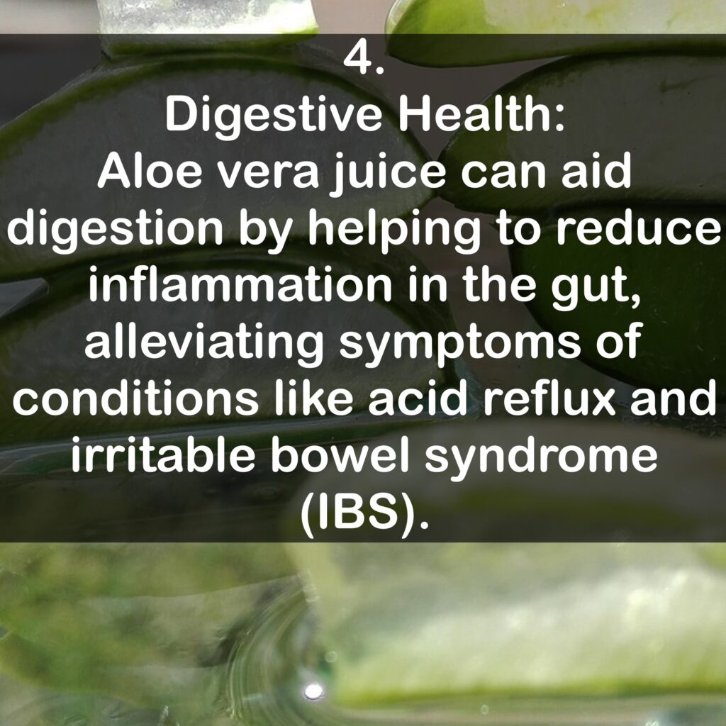 4. Digestive Health: Aloe vera juice can aid digestion by helping to reduce inflammation in the gut, alleviating symptoms of conditions like acid reflux and irritable bowel syndrome (IBS).