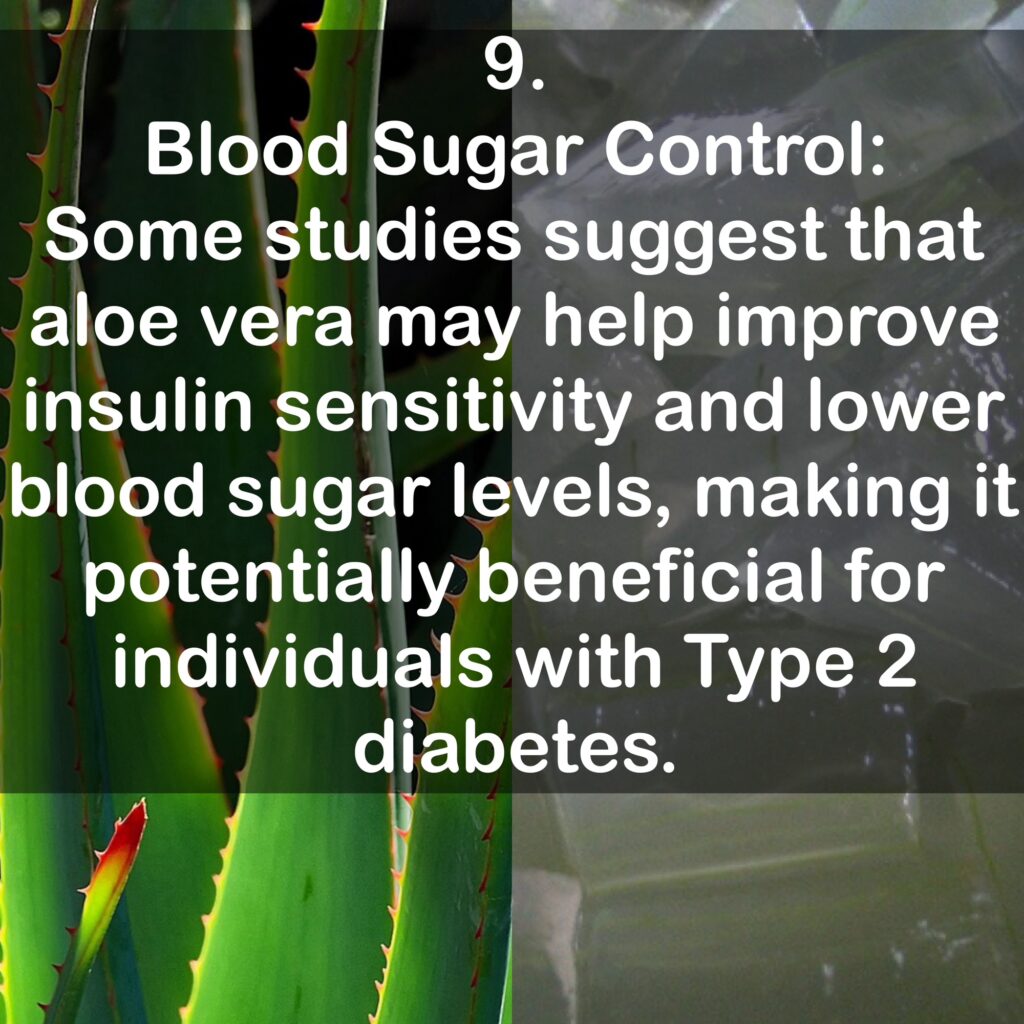 9. Blood Sugar Control: Some studies suggest that aloe vera may help improve insulin sensitivity and lower blood sugar levels, making it potentially beneficial for individuals with Type 2 diabetes.