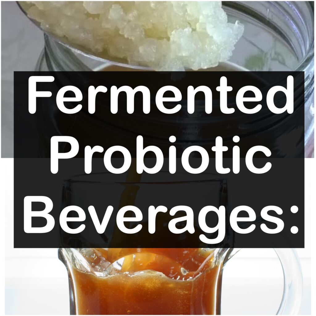 Fermented Probiotic Beverage