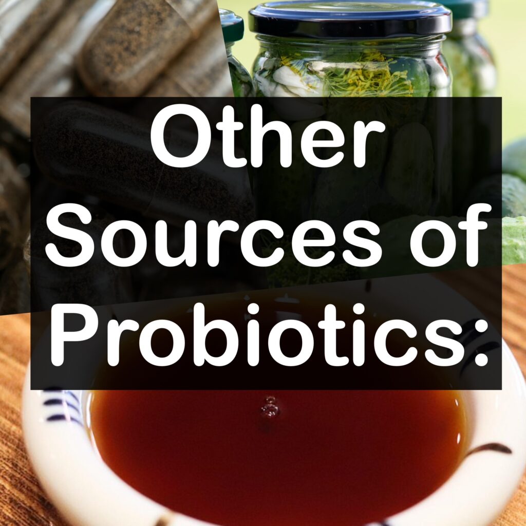 Other Sources of Probiotics