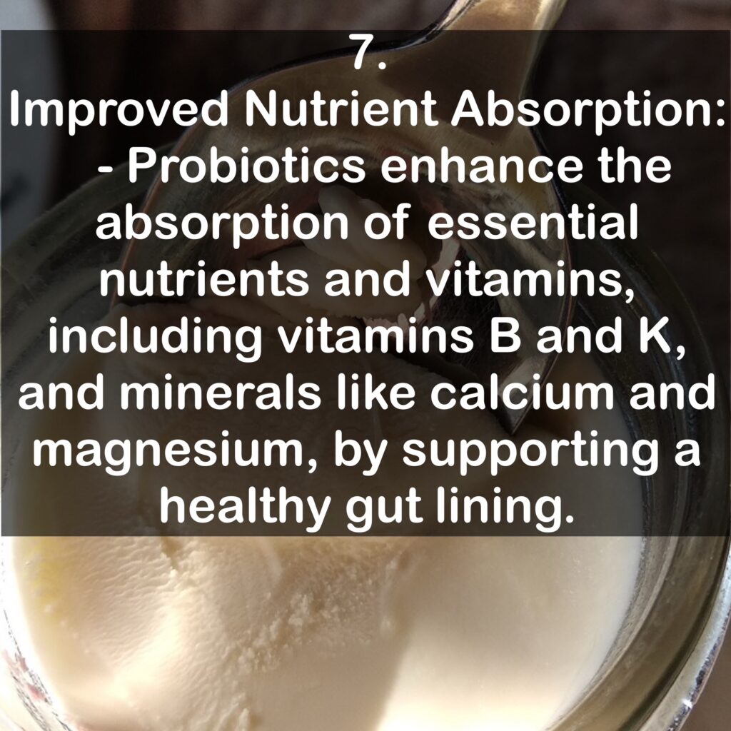 7. Improved Nutrient Absorption: - Probiotics enhance the absorption of essential nutrients and vitamins, including vitamins Band K, and minerals like calcium and magnesium, by supporting a healthy gut lining.