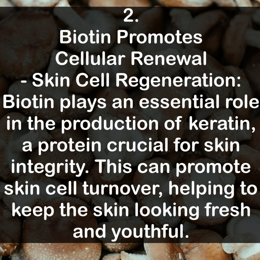 2. Biotin Promotes Cellular Renewal - Skin Cell Regeneration: Biotin plays an essential role in the production of keratin, a protein crucial for skin integrity. This can promote skin cell turnover, helping to keep the skin looking fresh and youthful.
