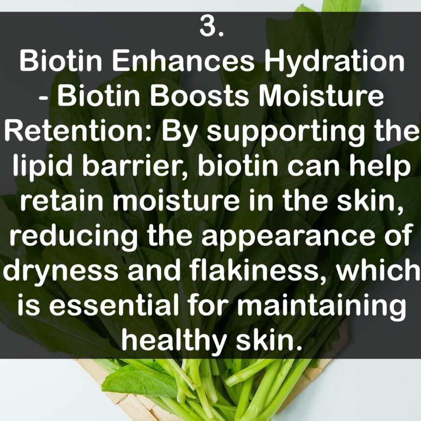 3. Biotin Enhances Hydration - Biotin Boosts Moisture Retention: By supporting the lipid barrier, biotin can help retain moisture in the skin, reducing the appearance of dryness and flakiness, which is essential for maintaining healthy skin.