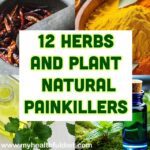 12 Herb and Plant Natural Painkillers