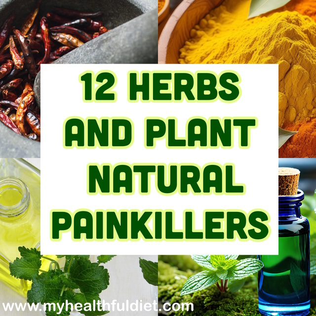 12 Herb and Plant Natural Painkillers