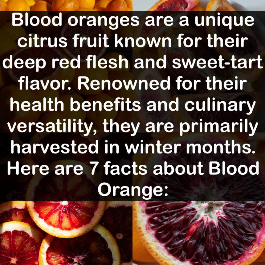 7 Facts about Blood Orange