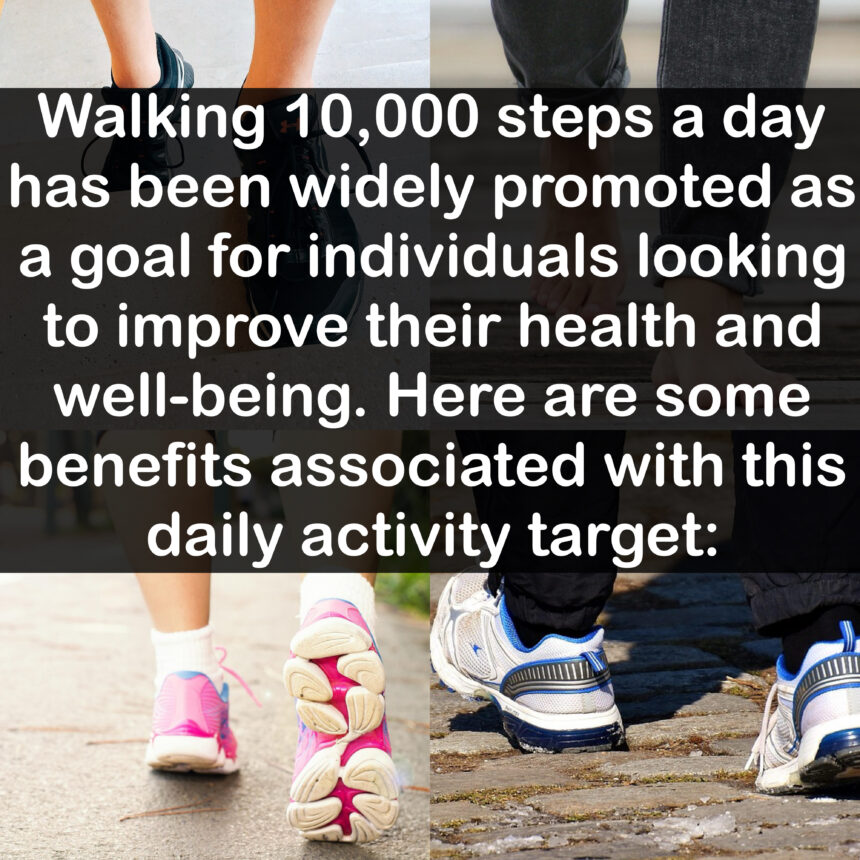 Walking 10,000 steps a day has been widely promoted as a goal for individuals looking to improve their health and well-being. Here are some benefits associated with this daily activity target: