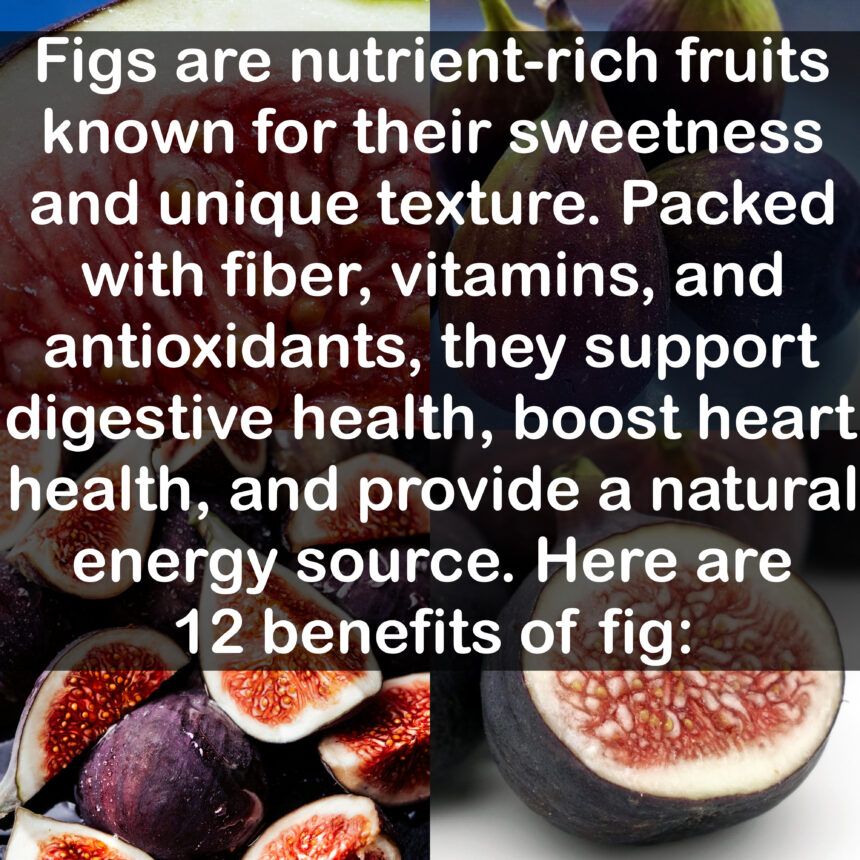 12 Benefits of Fig Fruit