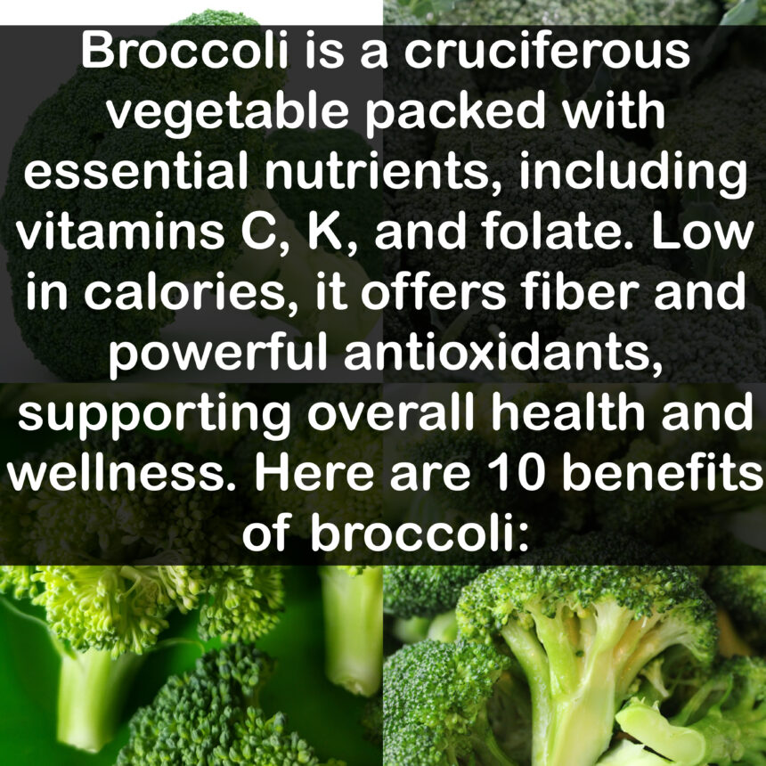 Broccoli is a cruciferous vegetable packed with essential nutrients, including vitamins C, K, and folate. Low in calories, it offers fiber and powerful antioxidants, supporting overall health and wellness. Here are 10 benefits of broccoli: