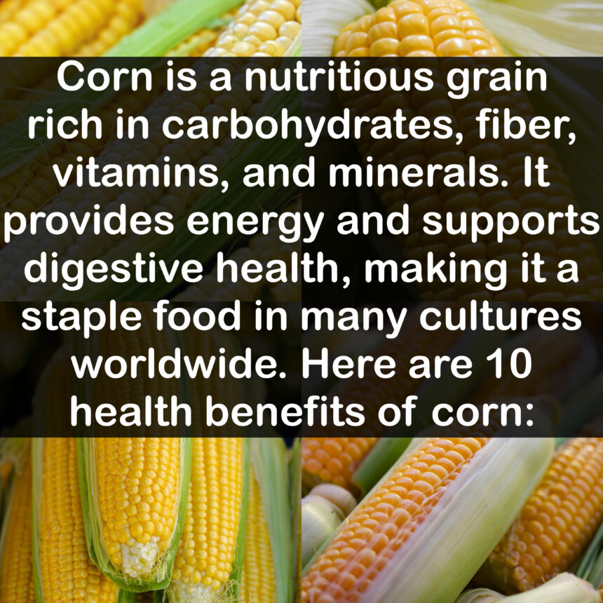 Corn is a nutritious grain rich in carbohydrates, fiber, vitamins, and minerals. It provides energy and supports digestive health, making it a staple food in many cultures worldwide. Here are 10 health benefits of corn: