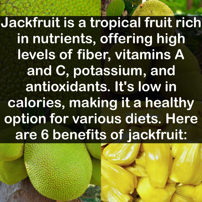 Jackfruit is a tropical fruit rich in nutrients, offering high levels of fiber, vitamins A and C, potassium, and antioxidants. It's low in calories, making it a healthy option for various diets. Here are 6 benefits of jackfruit: