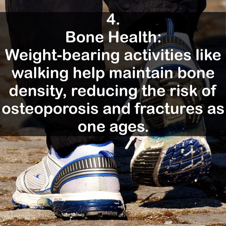 4. Bone Health: Weight-bearing activities like walking help maintain bone density, reducing the risk of osteoporosis and fractures as one ages.