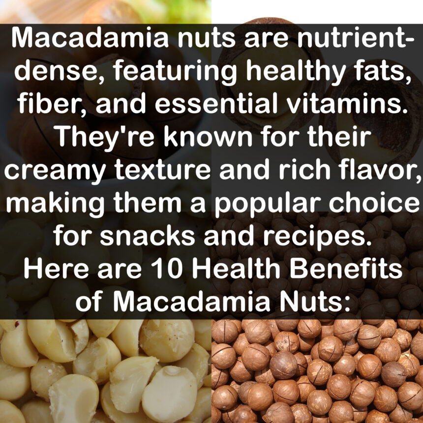 Macadamia nuts are nutrient-dense, featuring healthy fats, fiber, and essential vitamins. They're known for their creamy texture and rich flavor, making them a popular choice for snacks and recipes. Here are 10 Health Benefits of Macadamia Nuts: