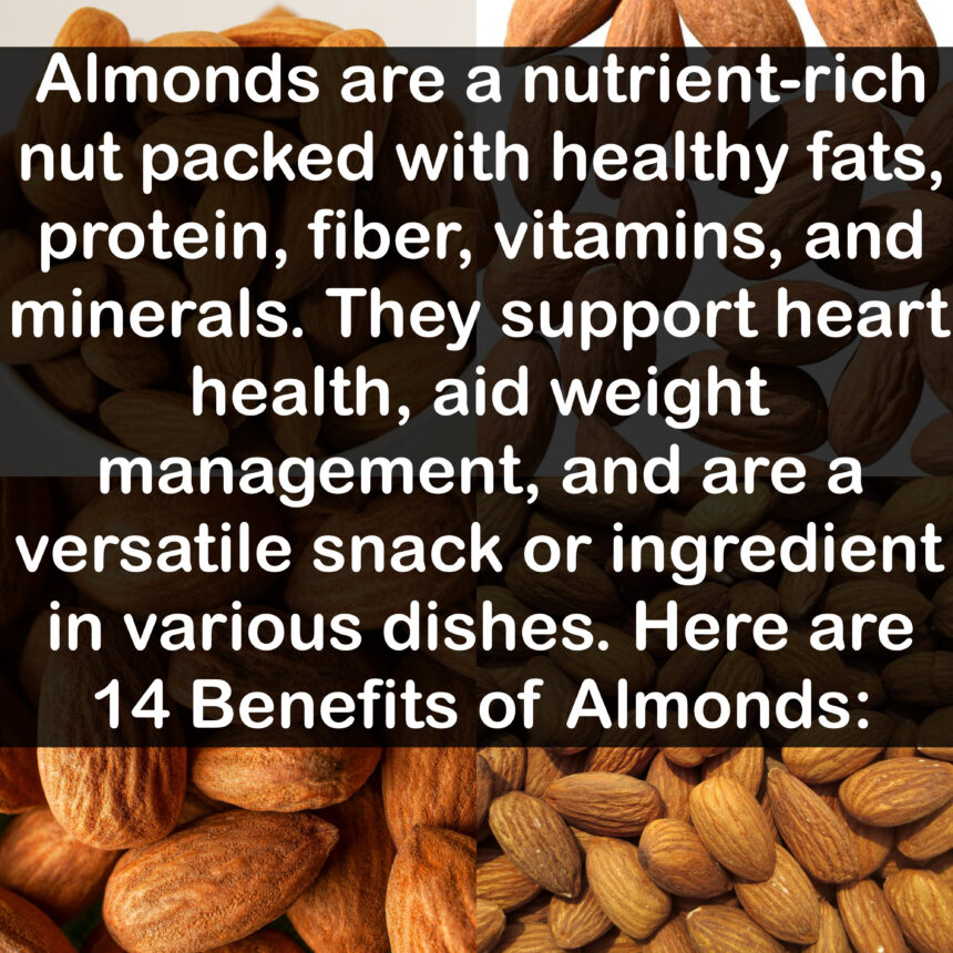 Almonds are a nutrient-rich nut packed with healthy fats, protein, fiber, vitamins, and minerals. They support heart health, aid weight management, and are a versatile snack or ingredient in various dishes. Here are 14 Benefits of Almonds: