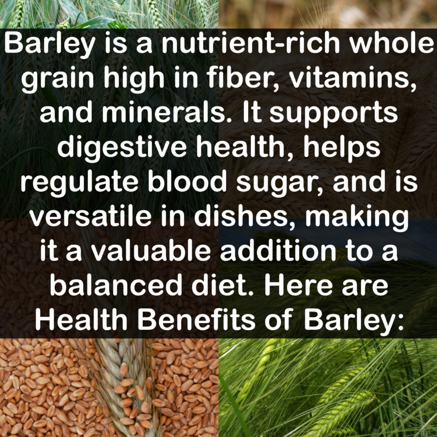 Barley is a nutrient-rich whole grain high in fiber, vitamins, and minerals. It supports digestive health, helps regulate blood sugar, and is versatile in dishes, making it a valuable addition to a balanced diet. Here are Health Benefits of Barley: