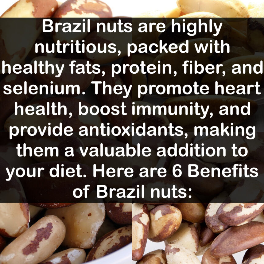 Brazil nuts are highly nutritious, packed with healthy fats, protein, fiber, and selenium. They promote heart health, boost immunity, and provide antioxidants, making them a valuable addition to your diet. Here are 6 Benefits of Brazil nuts: