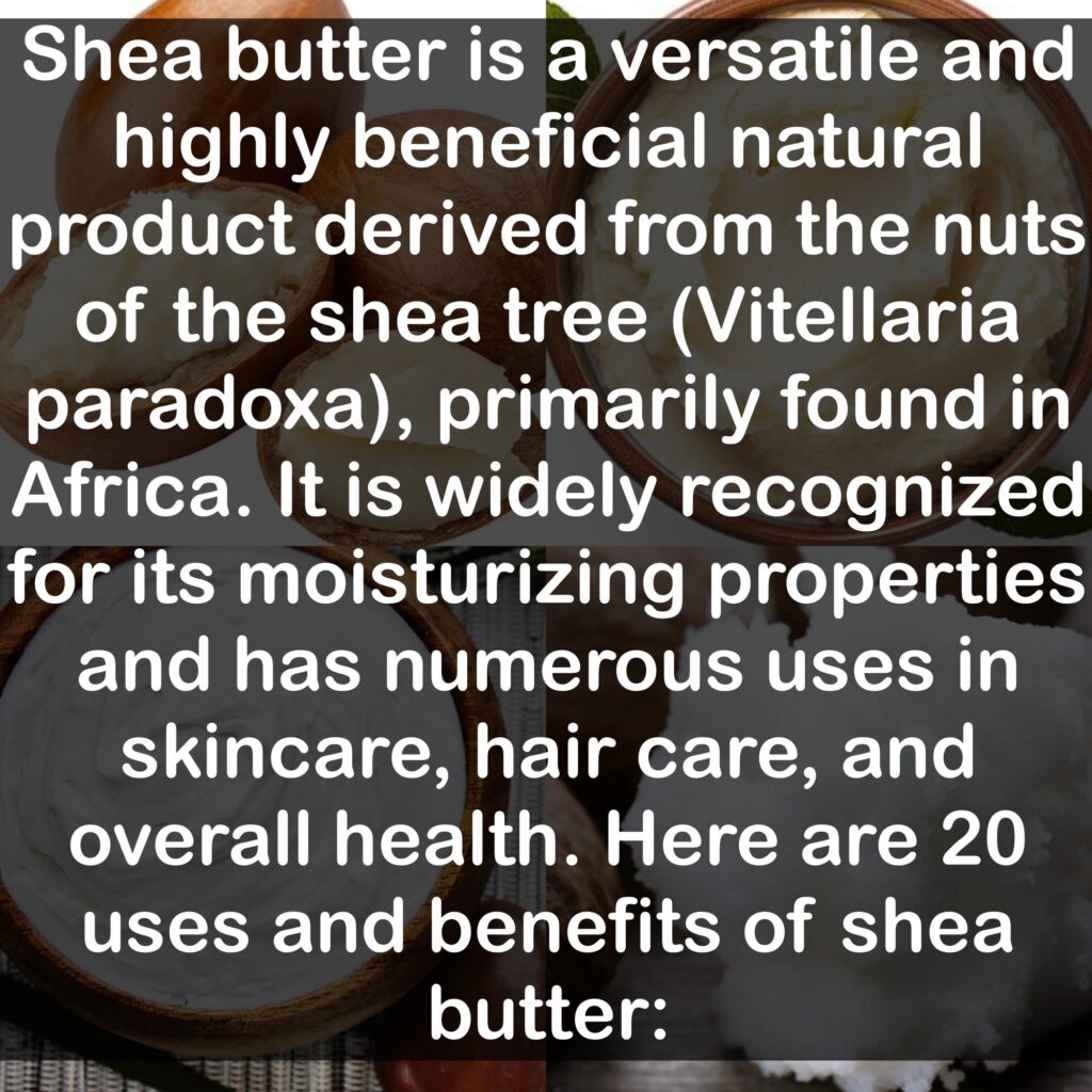 Shea butter is a versatile and highly beneficial natural product derived from the nuts of the shea tree (Vitellaria paradoxa), primarily found in Africa. It is widely recognized for its moisturizing properties and has numerous uses in skincare, hair care, and overall health. Here are 20 uses and benefits of shea butter: