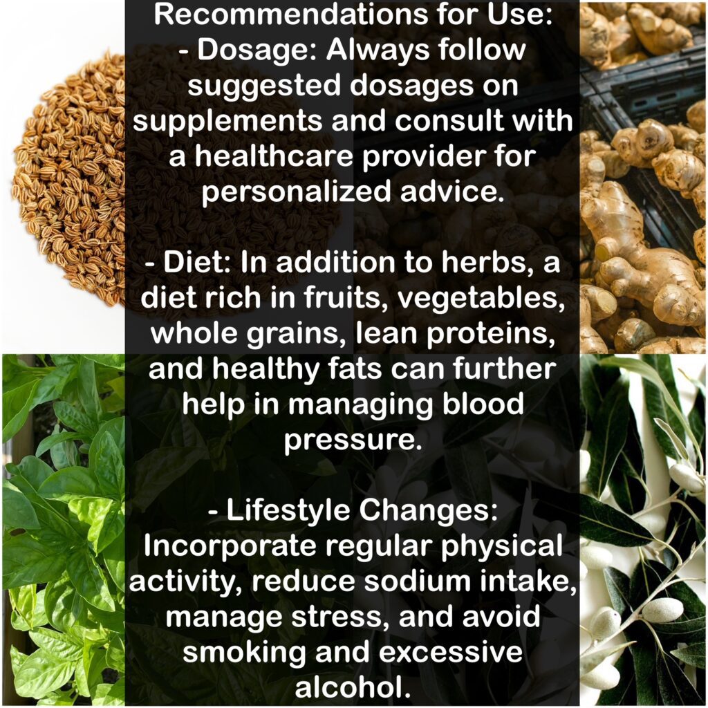 - Dosage: Always follow suggested dosages on supplements and consult with a healthcare provider for personalized advice. - Diet: In addition to herbs, a diet rich in fruits, vegetables, whole grains, lean proteins, and healthy fats can further help in managing blood pressure. - Lifestyle Changes: Incorporate regular physical activity, reduce sodium intake, manage stress, and avoid smoking and excessive alcohol.
