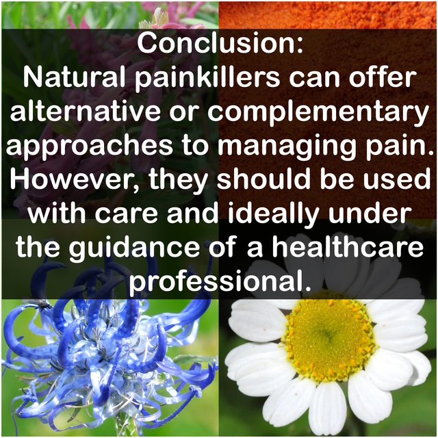 Conclusion: Natural painkillers can offer alternative or complementary approaches to managing pain. However, they should be used with care and ideally under the guidance of a healthcare professional.