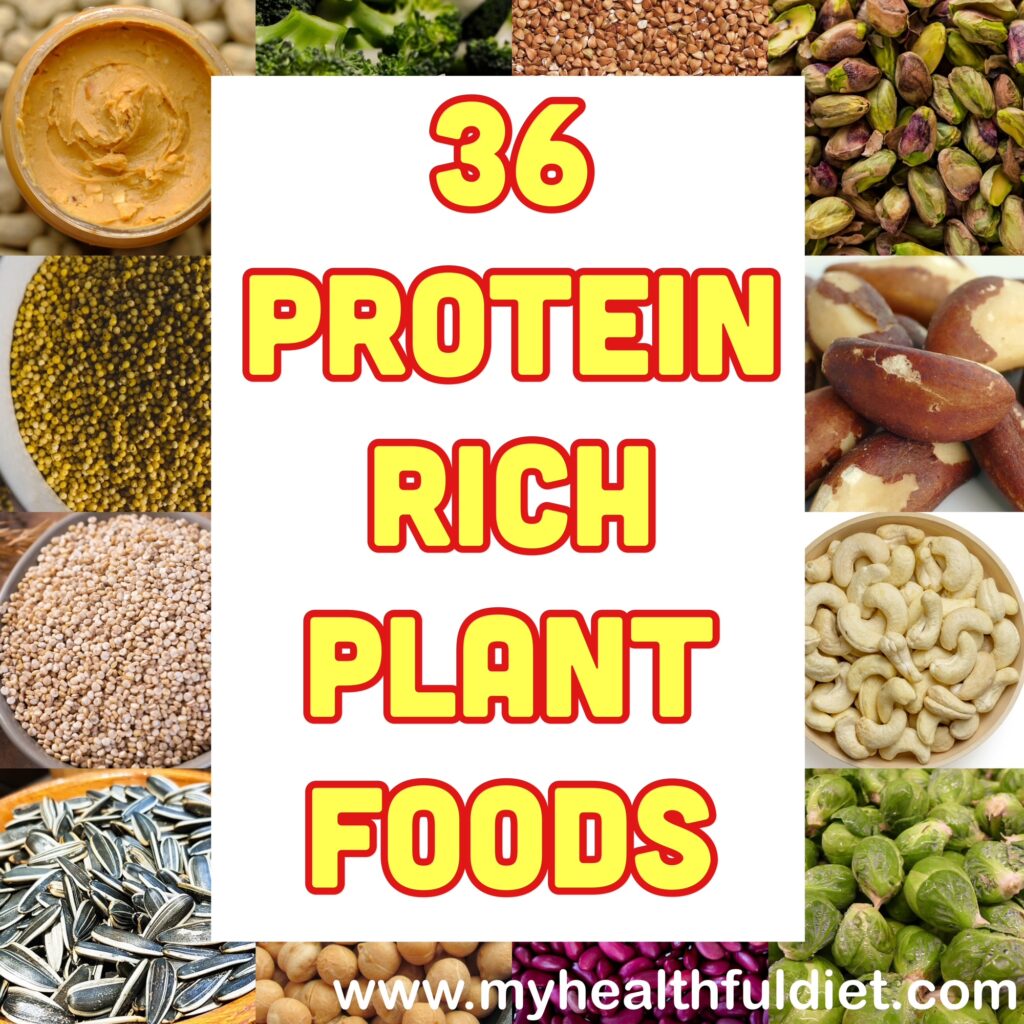 36 Protein Rich Plant Foods
