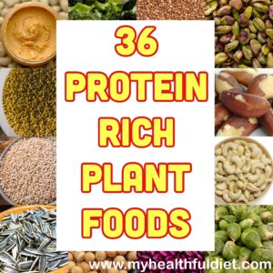 36 Protein Rich Plant Foods