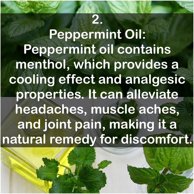 2. Peppermint Oil: Peppermint oil contains menthol, which provides a cooling effect and analgesic properties. It can alleviate headaches, muscle aches, and joint pain, making it a natural remedy for discomfort.