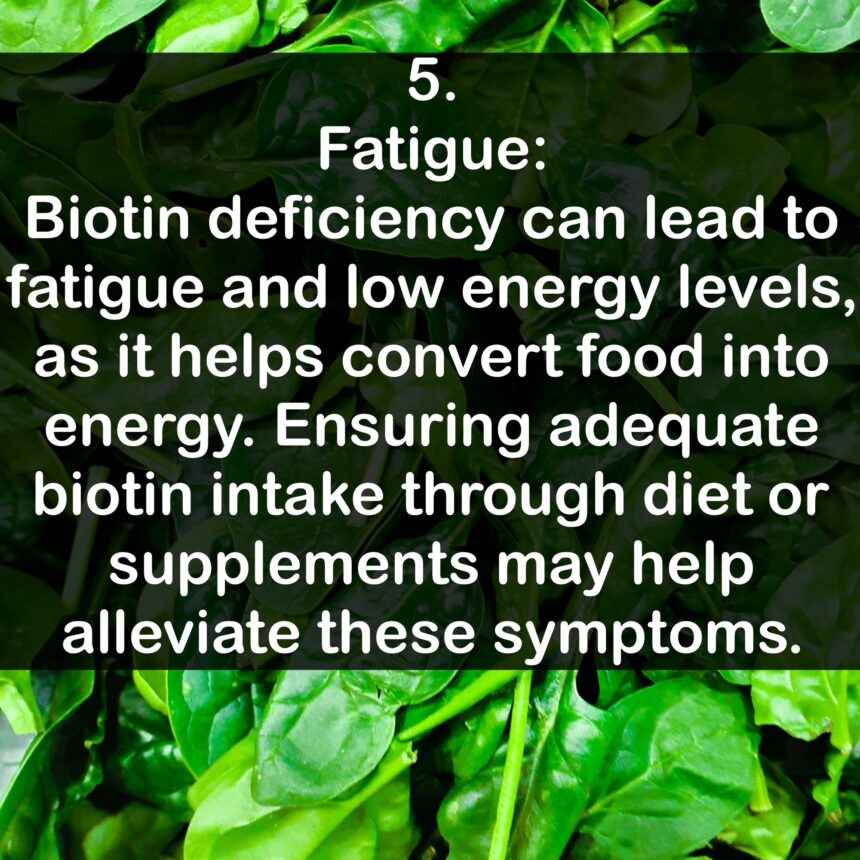 5. Fatigue: Biotin deficiency can lead to fatigue and low energy levels, as it helps convert food into energy. Ensuring adequate biotin intake through diet or supplements may help alleviate these symptoms.