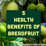 5 Benefits of Breadfruit
