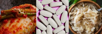 Top Probiotics for a Healthy Gut