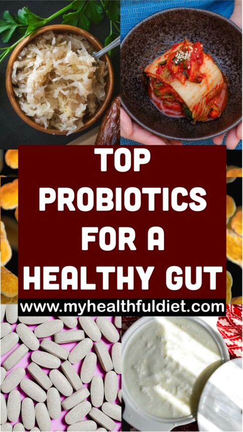 Top Probiotics for a Healthy Gut