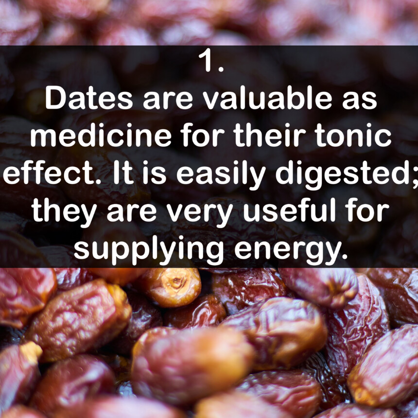 1. Dates are valuable as medicine for their tonic effect. It is easily digested; they are very useful for supplying energy.