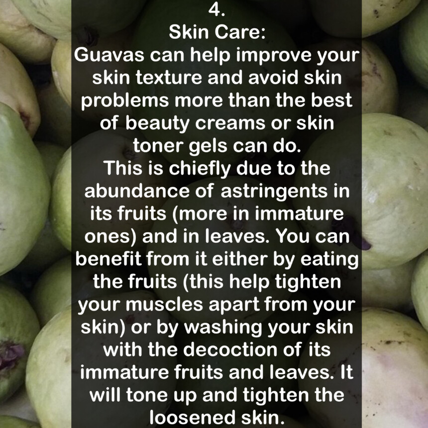 4. Skin Care: Guavas can help improve your skin texture and avoid skin problems more than the best of beauty creams or skin toner gels can do. This is chiefly due to the abundance of astringents in its fruits more in immature ones) and in leaves. You can benefit from it either by eating the fruits (this help tighten your muscles apart from your skin) or by washing your skin with the decoction of its immature fruits and leaves. It will tone up and tighten the loosened skin.