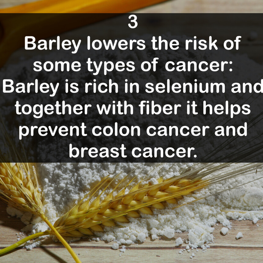 3. Barley lowers the risk of some types of cancer: Barley is rich in selenium and together with fiber it helps prevent colon cancer
