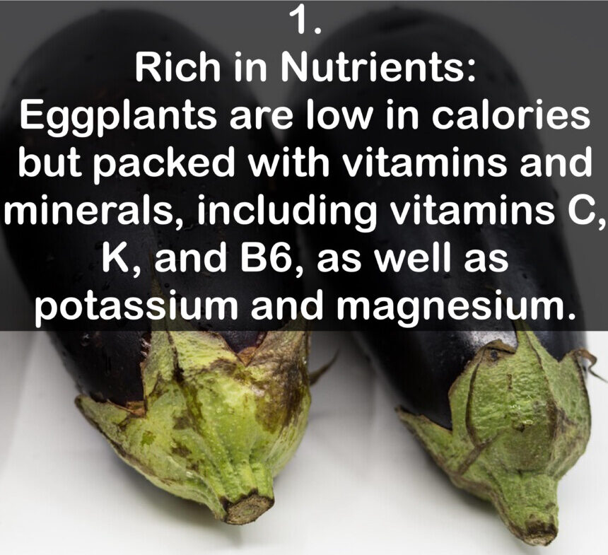 1. Rich in Nutrients: Eggplants are low in calories but packed with vitamins and minerals, including vitamins C, K, and B6, as well as potassium and magnesium.