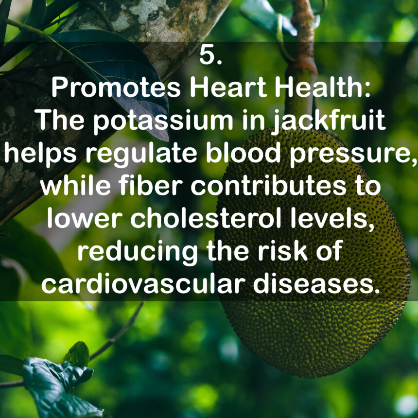 5. Promotes Heart Health: The potassium in jackfruit helps regulate blood pressure, while fiber contributes to lower cholesterol levels, reducing the risk of cardiovascular diseases.