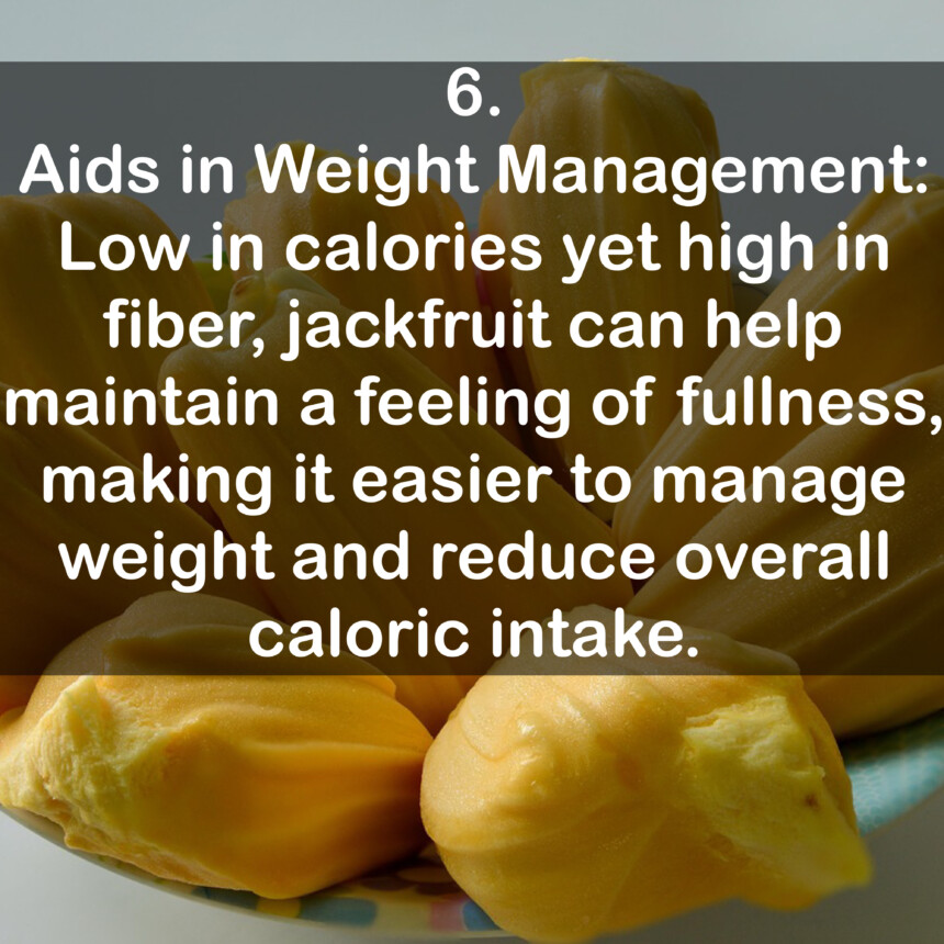 6. Aids in Weight Management: Low in calories yet high in fiber, jackfruit can help maintain a feeling of fullness, making it easier to manage weight and reduce overall caloric intake.