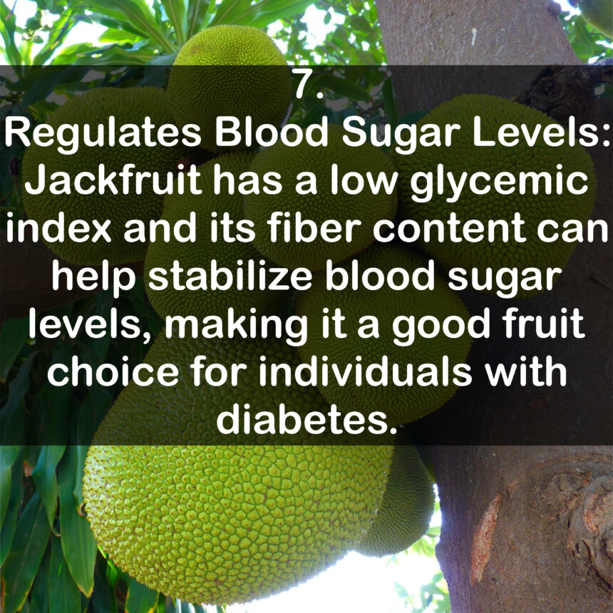 7. Regulates Blood Sugar Levels: Jackfruit has a low glycemic index and its fiber content can help stabilize blood sugar levels, making it a good fruit choice for individuals with diabetes.