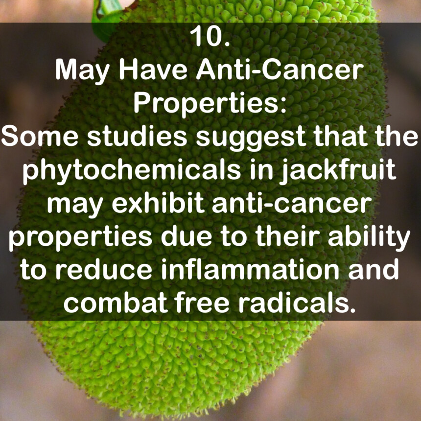 10. May Have Anti-Cancer Properties: Some studies suggest that the phytochemicals in jackfruit may exhibit anti-cancer properties due to their ability to reduce inflammation and combat free radicals.