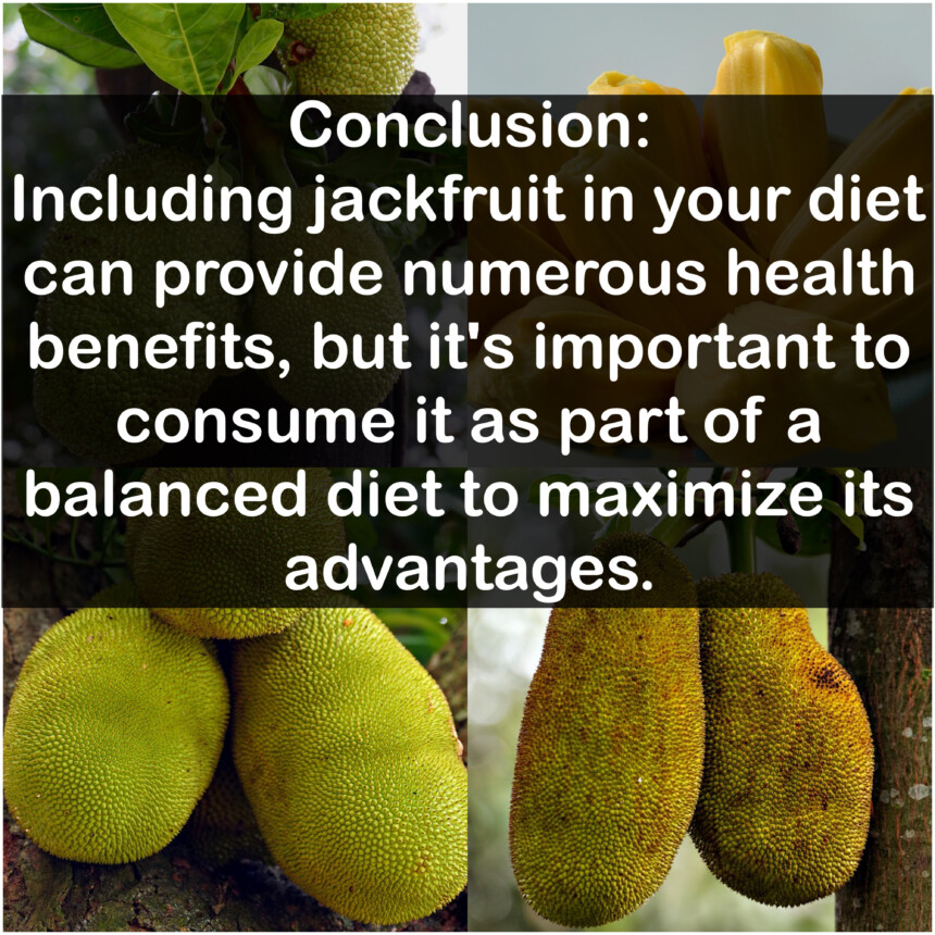 Conclusion: Including jackfruit in your diet can provide numerous health benefits, but it's important to consume it as part of a balanced diet to maximize its advantages.