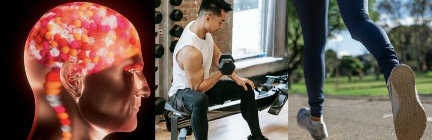 How Exercise Improves Mental Health