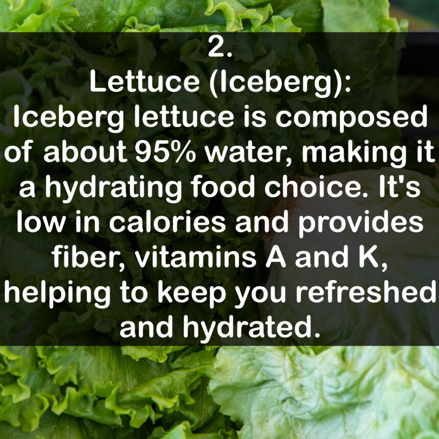 2. Lettuce (Iceberg): Iceberg lettuce is composed of about 95% water, making it a hydrating food choice. It's low in calories and provides fiber, vitamins A and K, helping to keep you refreshed and hydrated.