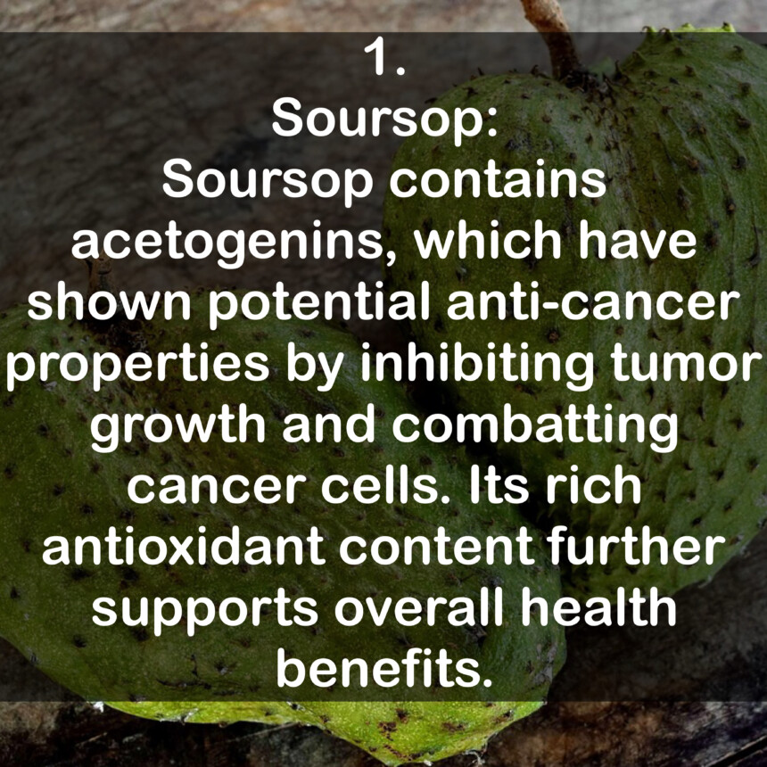 1. Soursop: Soursop contains acetogenins, which have shown potential anti-cancer properties by inhibiting tumor growth and combatting cancer cells. Its rich antioxidant content further supports overall health benefits.