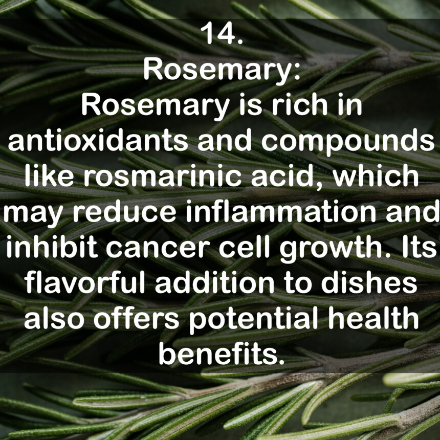 14. Rosemary: Rosemary is rich in antioxidants and compounds like rosmarinic acid, which may reduce inflammation and inhibit cancer cell growth. Its flavorful addition to dishes also offers potential health benefits.